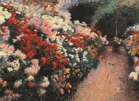 Dennis Miller Bunker Chrysanthemums 111